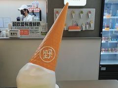 -野人先生现做冰淇淋(北京悠唐购物中心店)
