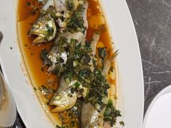 -同庆楼(滨湖万达广场店)