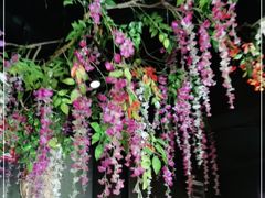 -要德火锅(鼓楼店)