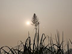 -金海湾滨江公园