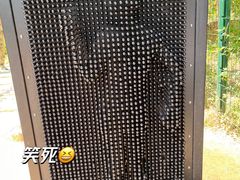 -幽岚山·童话森林