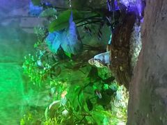 android_upload_pic-郑州海洋馆