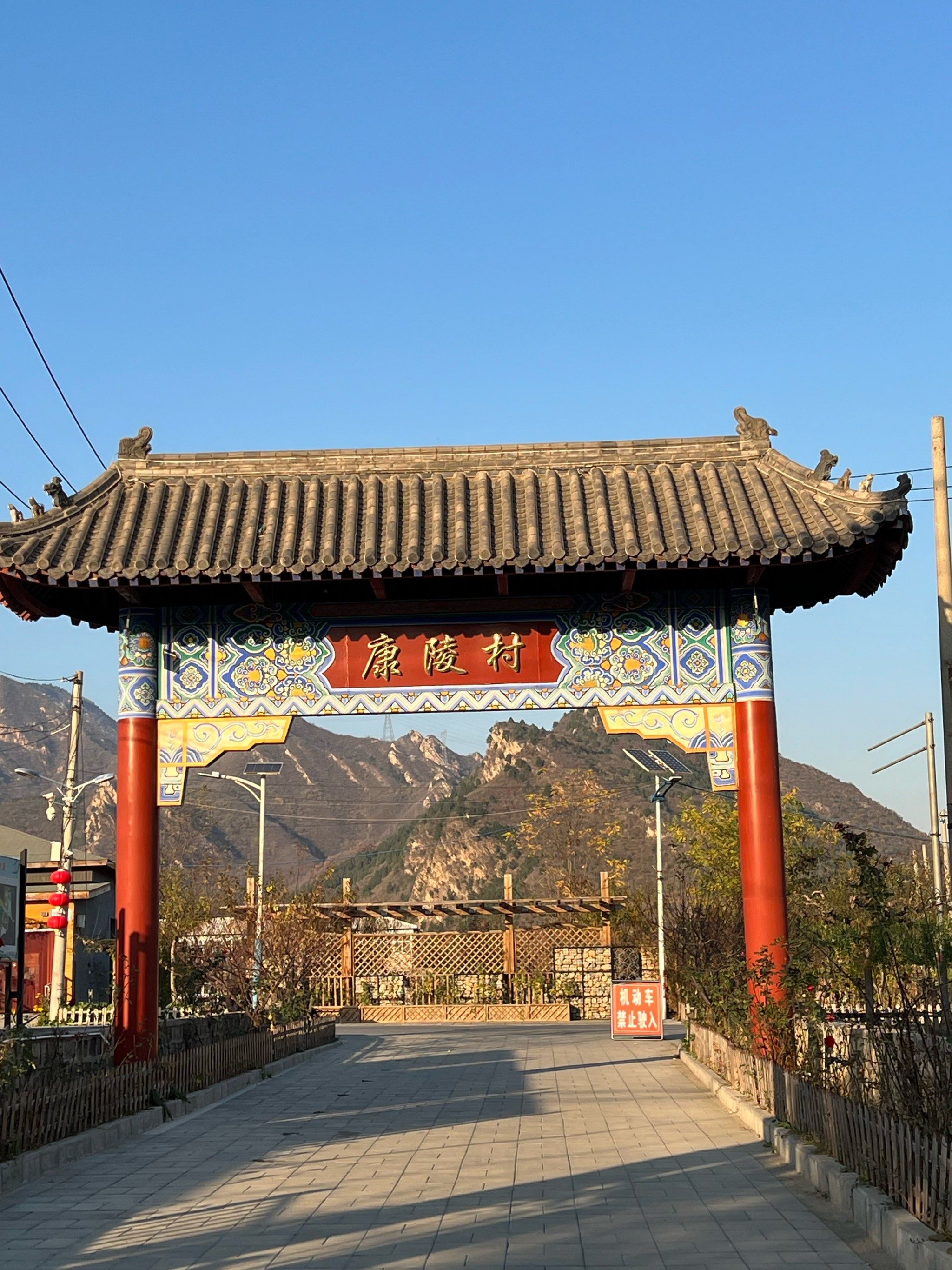 就是一棵800年的古银杏树人称帝王树古人云先有帝王树后有康陵宫