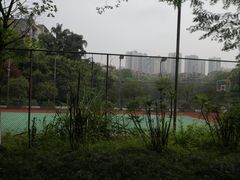 -重庆彩云湖湿地公园