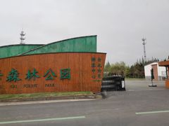 -黄海国家森林公园