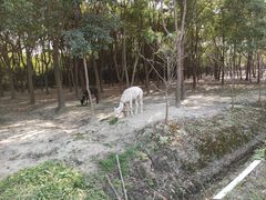 -嘉北郊野公园
