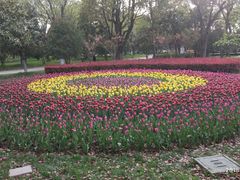 -上海鲜花港