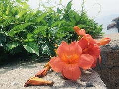 -上海滴水湖皇冠假日酒店