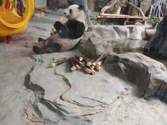 -灵玲国际马戏城