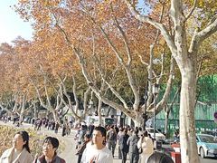 -北山街历史文化街区
