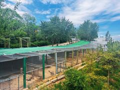 -青藏高原野生动物园