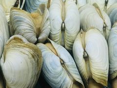 -港畔赶海蒸汽海鲜烧烤自助(仙螺岛店)