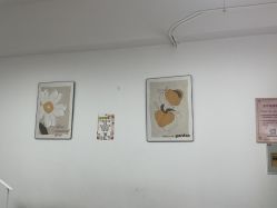 -尤米一站式美甲美睫