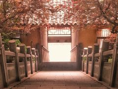 -九华山公园