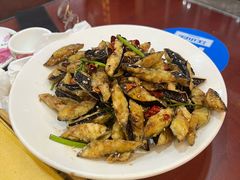 -赵记煎饼卷大葱(东岳店)