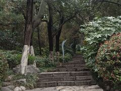-云龙山