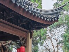 -香雪海