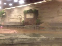 -天目湖涵田半山温泉水乐园