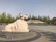 -永定河休闲森林公园