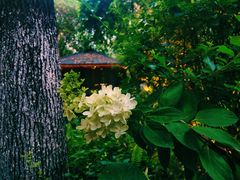 -大妙火锅·非物质文化遗产(东湖公园店)