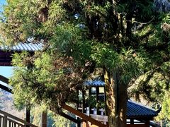 -南岳衡山风景名胜区