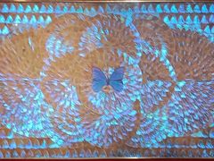 -上海昆虫博物馆