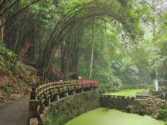 -凤栖山