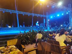 -渔家火锅·海鲜自助餐·演艺(亚龙湾天域酒店)