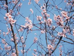 -盘龙城国家考古遗址公园