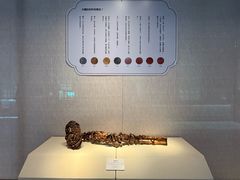 -旅顺博物馆