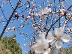 -周口店北京人遗址公园