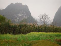 -靖西鹅泉风景区