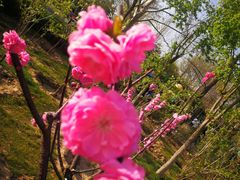 -大兴滨河森林公园