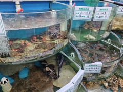-叶存利海鲜大馅饺子(海宁路总店)