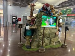 -西沃古尔·拉姆古兰爵士国际机场