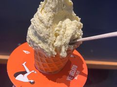 -野人牧坊Gelato(天津南开大悦城店)