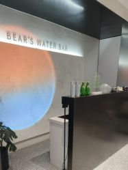 -三只熊皮肤管理中心旗舰店