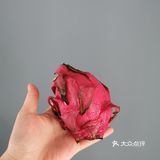 火龙果脏脏茶 美容养颜夏日爽饮