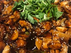 -Local泰莲庭(虹鳟鱼店)