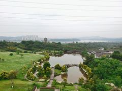 -张坝桂圆林公园