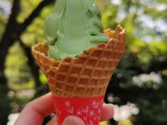 抹茶冰淇淋-豆政(金閣寺境内売店)