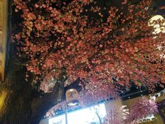 -寻钵记民菜馆·正宗常德钵子菜(滨湖路店)