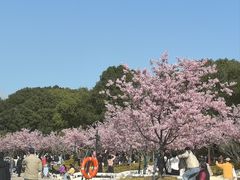 -新江湾城公园