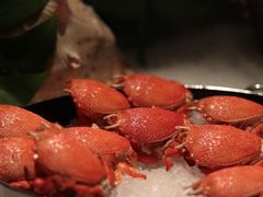 老虎蟹-Social 秀西餐厅-长沙瑞吉酒店(运达店)