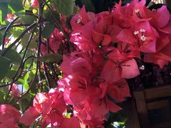 -云之南(八里庄店)