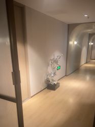 -北京漾格医疗美容医院