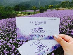 -紫云台香草园