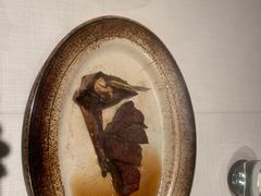 -Wolfgang’s Steakhouse 沃夫冈牛排馆(上海白玉兰广场店)