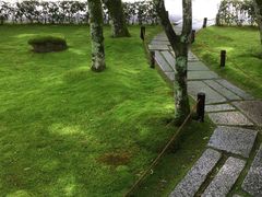 -西芳寺(苔寺)