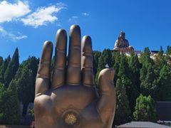 -龙口南山旅游景区